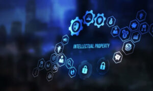 IP Enforcement Works in India